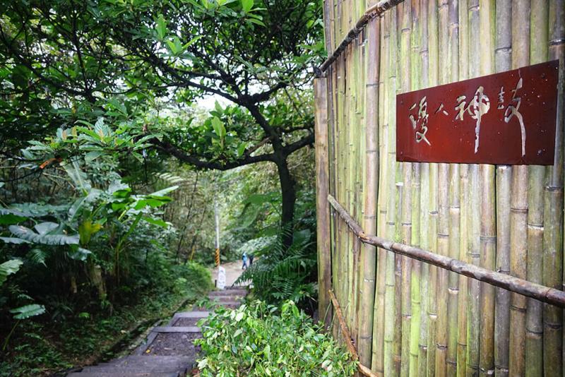 臺北貓空-樟樹步道-盡覽貓空茶園之美