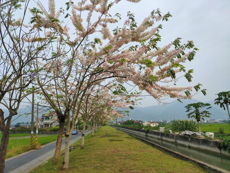 美濃小鎮風情