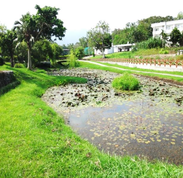 水岸生態池