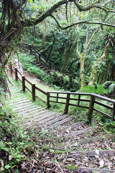 安通越嶺古道