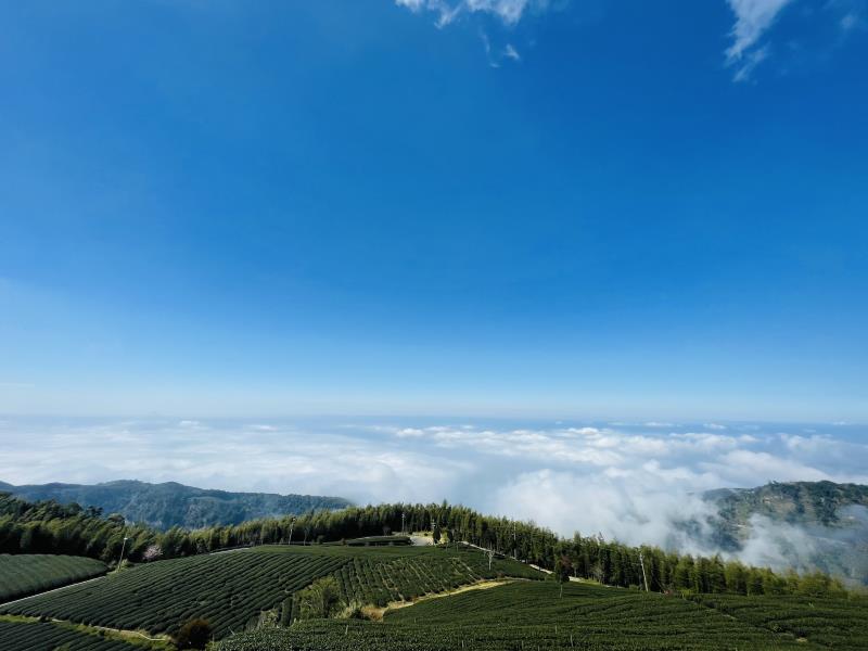 雲嶺之丘