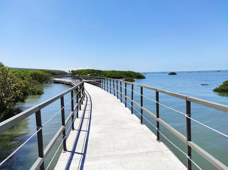 紅樹林海空步道