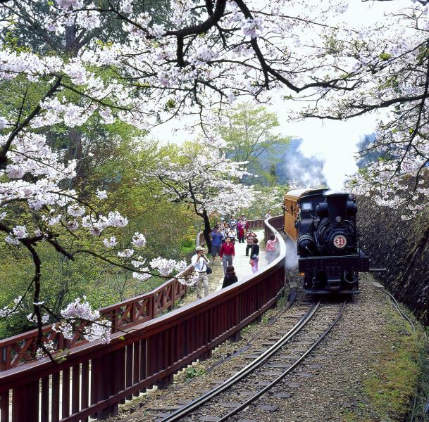 阿里山健行二日遊