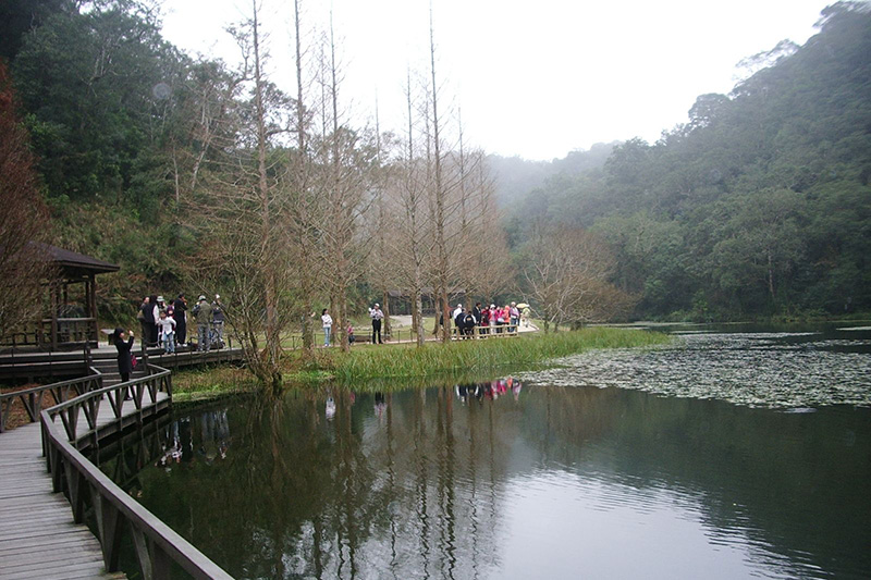 【福山植物園】自然保育生態之旅