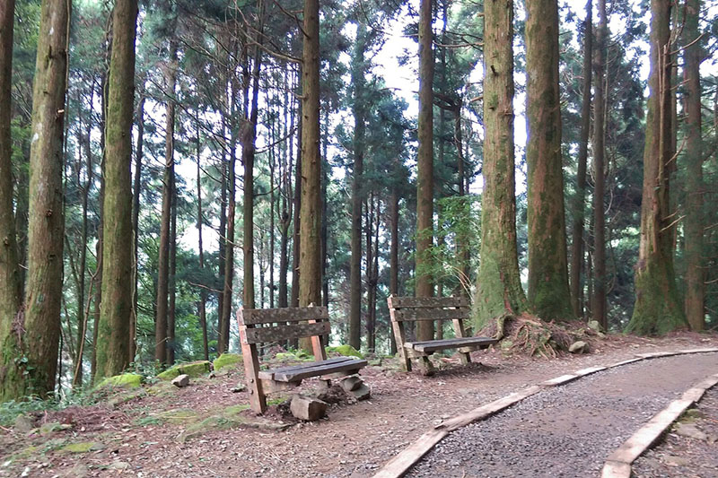 天神的足跡～【特富野古道‧鹿林山】迷霧．鐵森態之旅二日遊