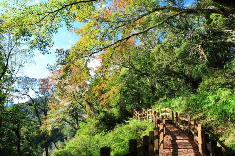 嘉明湖、向陽山、三叉山三日遊