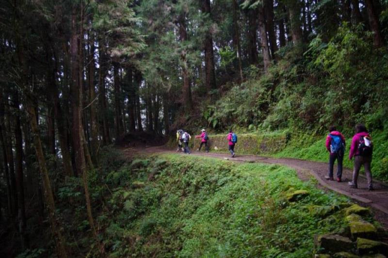 嘉義（玉山、阿里山）之旅