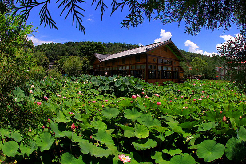 南投日月潭－桃米村生態二日輕旅行