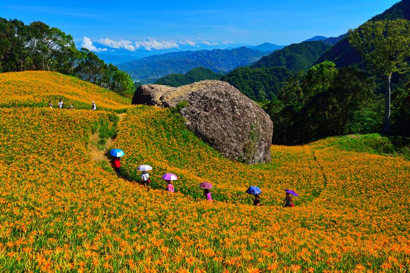 花東縱谷國家風景區-鶴岡遊客中心