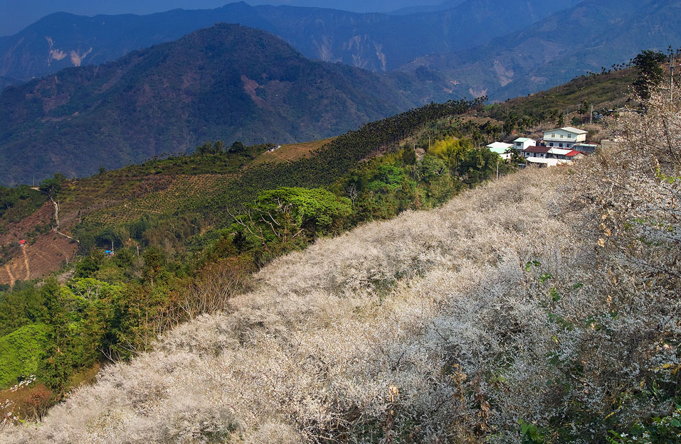 風櫃斗 觀光景點