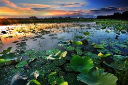 西拉雅國家風景區