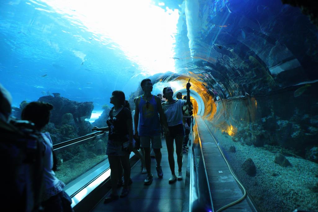 海底隧道的總長約為84公尺