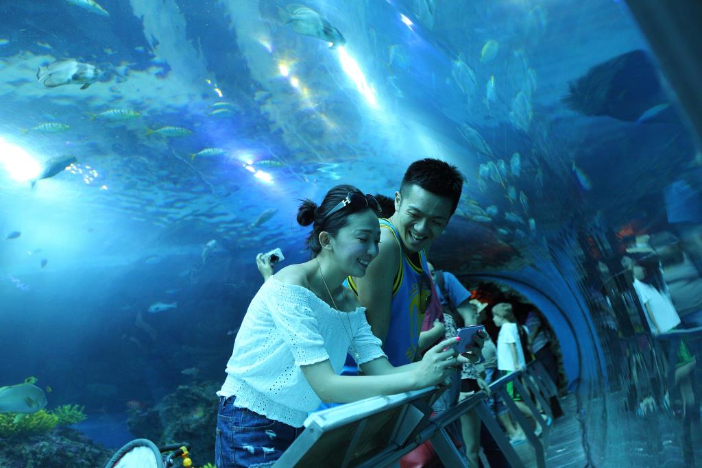 珊瑚王國館-海底隧道