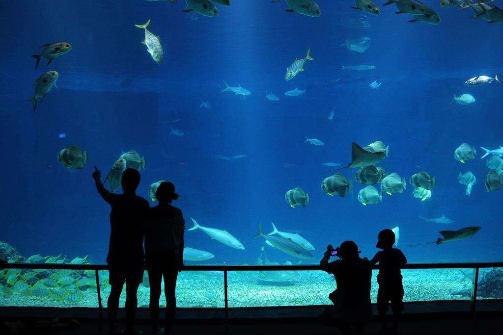 國立海洋生物博物館內部