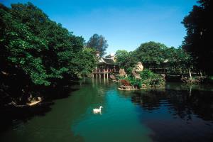 內雙溪自然中心藥用植物園 觀光景點
