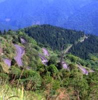 太平山國家森林遊樂區