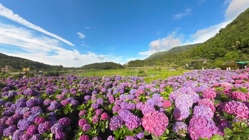 陽明山國家公園