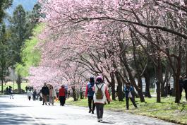 武陵農場