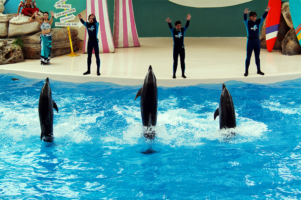 遠雄海洋公園 花蓮縣