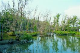 好美寮自然保護區