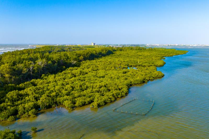 好美寮自然保護區