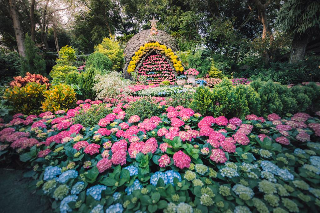 花露休閒農場 觀光景點