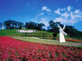 大溪花海休閒農場