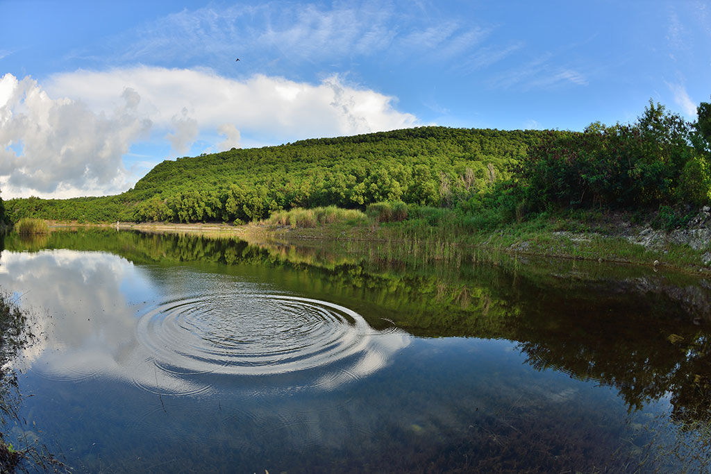 半屏湖濕地公園