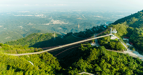 Puente colgante 