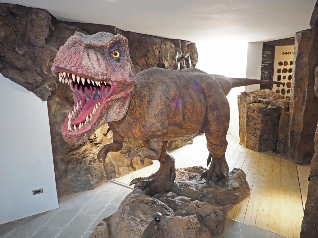 恐龍及植物模型造景區有逼真的恐龍模型與民眾互動