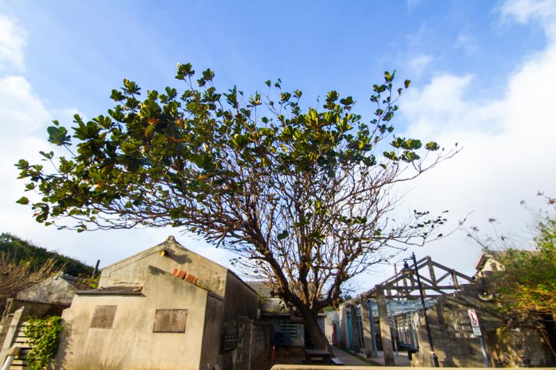 篤行十村眷村文化園區