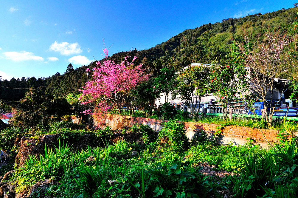 頂湖自然生態公園 觀光景點