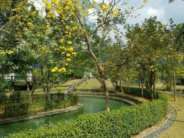 大路觀溫泉渡假村