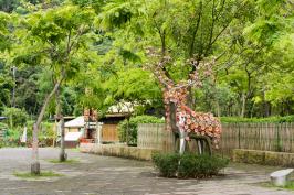 鄒族逐鹿文創園區