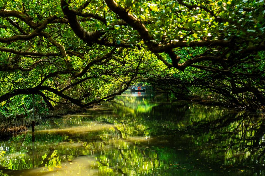 四草綠色隧道