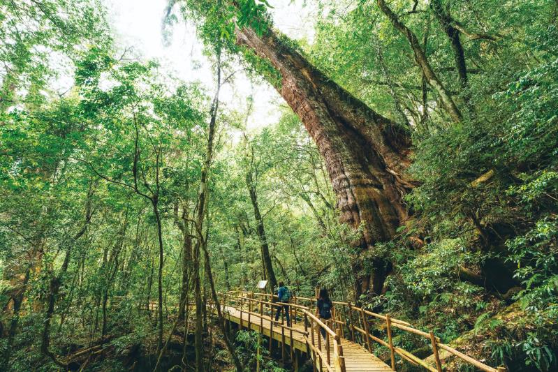 司馬庫斯