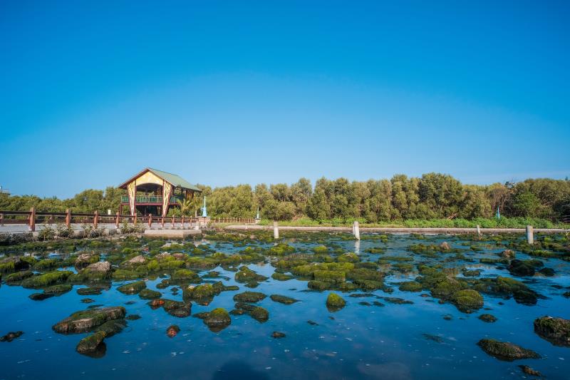 右岸濕地公園