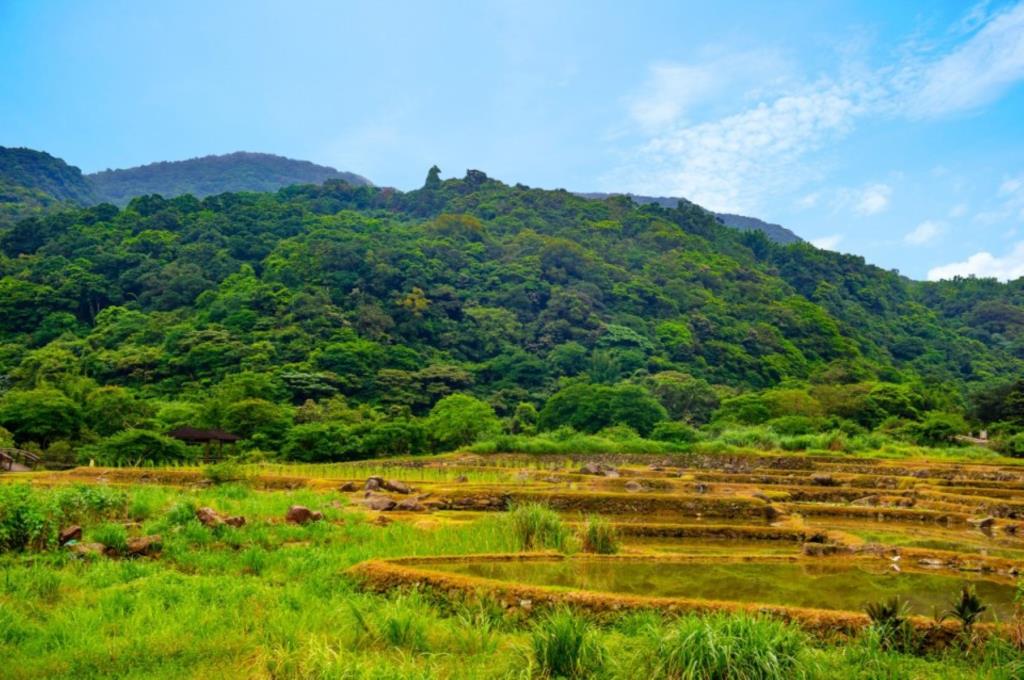 遠望坑親水公園