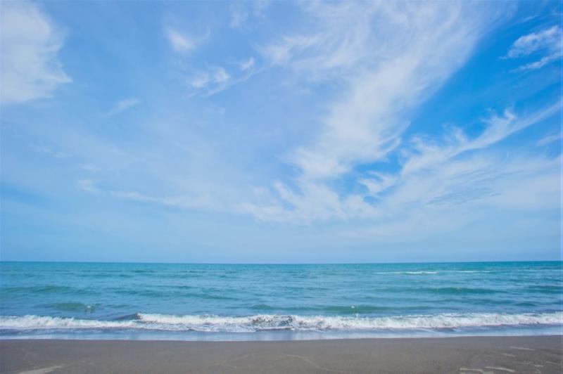 利澤沙丘海岸