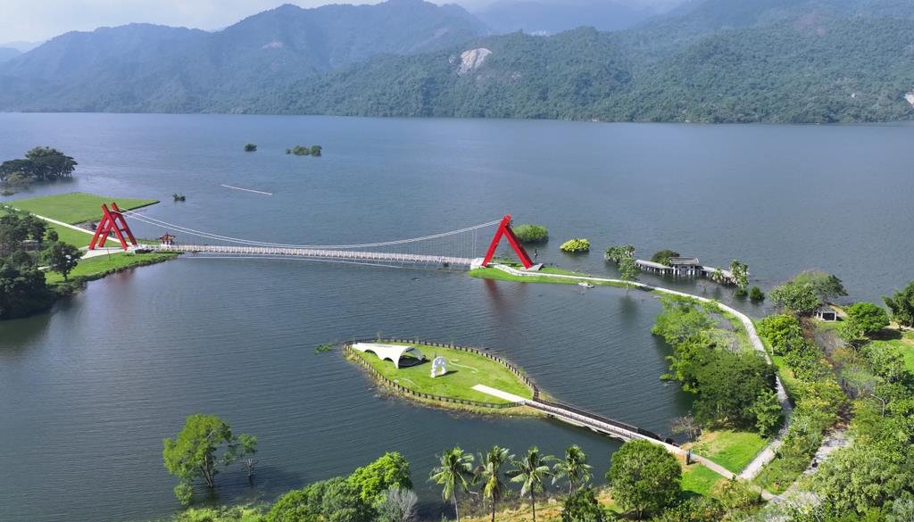 曾文水庫漂流木提琴村