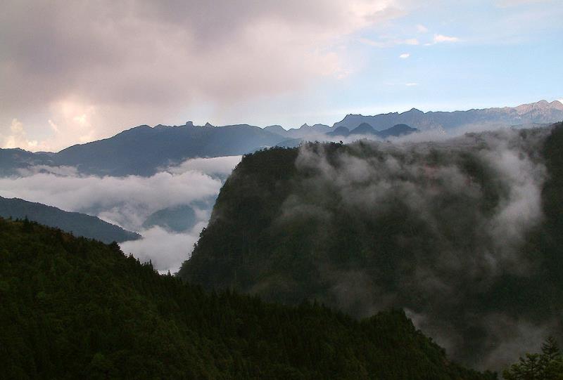 觀霧國家森林遊樂區