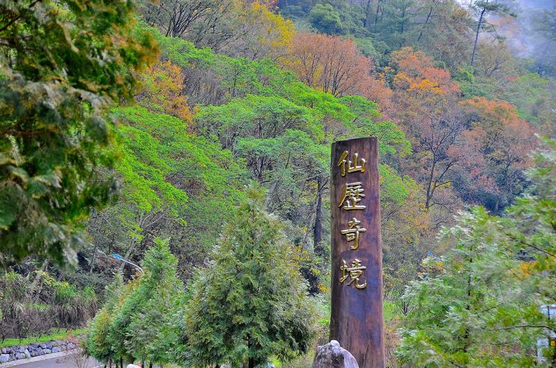 八仙山國家森林遊樂區