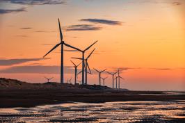 草漯沙丘地質公園