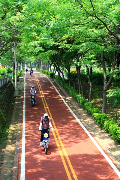東豐自行車綠廊