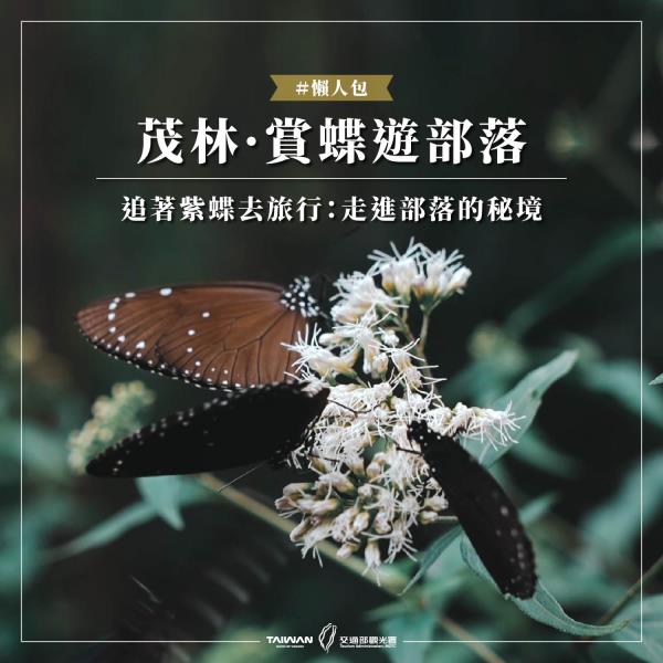  2025 茂林賞蝶季開跑！紫斑蝶來襲～帶你邊賞蝶邊走部落深 ...