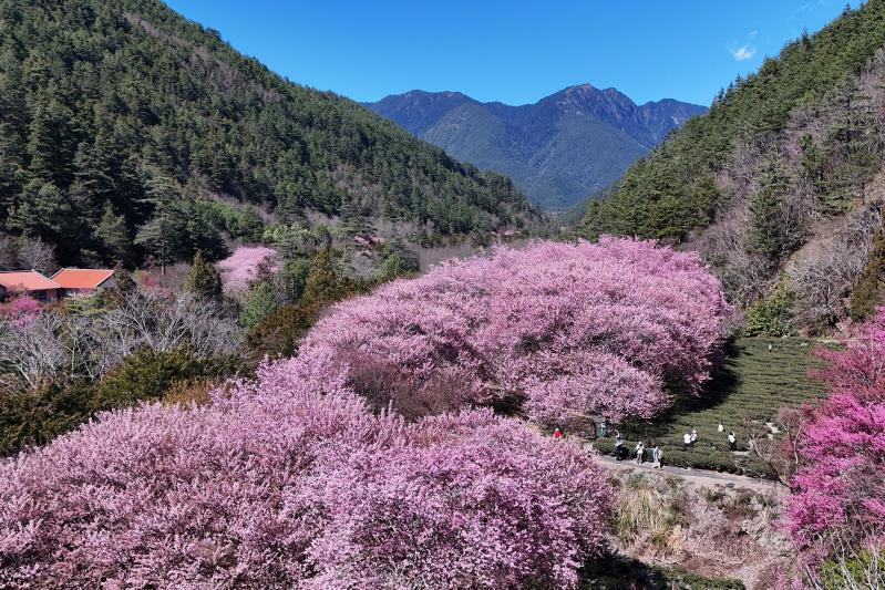 3月 <a href='https://www.instag ...