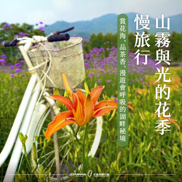 #風管處走透透｜ 山霧與光交織的季節推薦出遊  日月潭 花季 ...