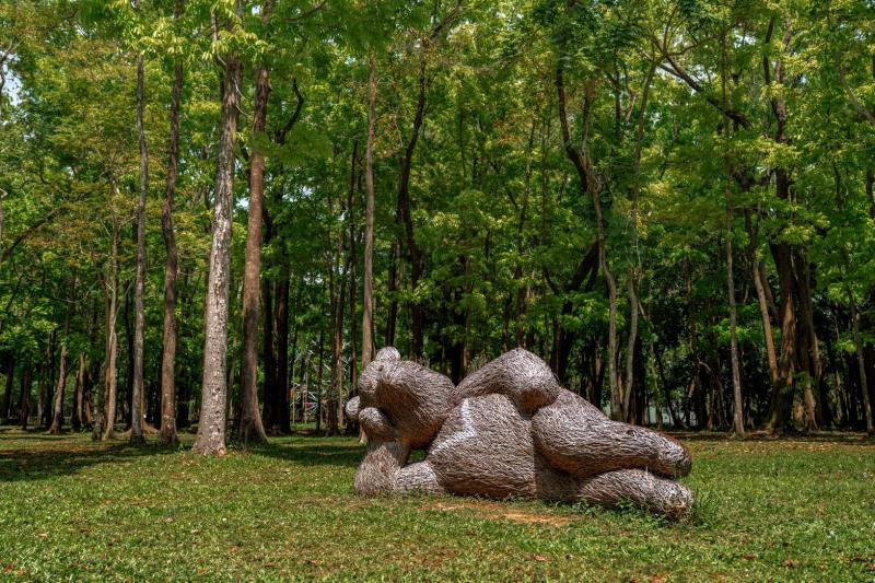 #風管處走透透｜#森騎新威野餐日 把野餐墊鋪進森林，這個暑假 ...