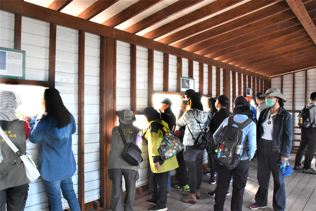 Maratón Internacional de Observación de Aves de Taiwán-02  Período annual：2023  Origen de las fotografías：Nacioanl del Área escénica de Yunjianan Binha