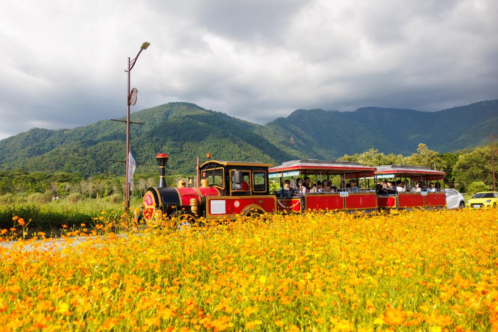 南投巧克力咖啡節-展館周邊花海布置